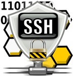 دانلود Bitvise SSH Server + Client 9.44 ارتباط سرور و کلاینت از طریق پروتکل SSH