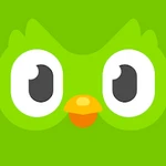 دانلود Duolingo Premium 6.29.3 آموزش و یادگیری زبان خارجی
