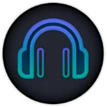 دانلود Spotube 4.0.2 Win/Mac/Android دانلود موزیک از اسپاتیفای